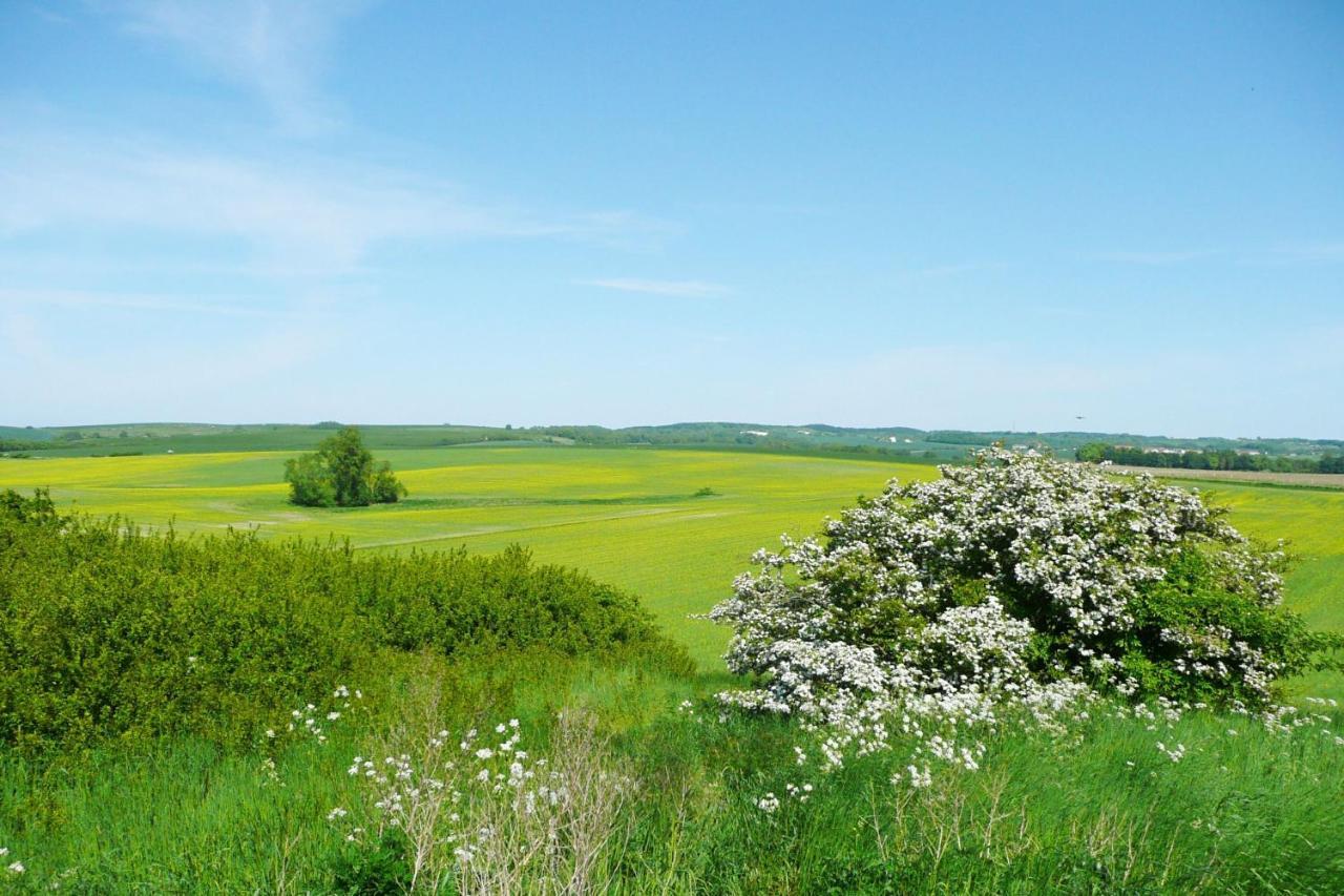 Ferienwohnung Mit Balkon Und Meerblick - Ferienresidenz Zwei Bodden Fewo 1-4 Lietzow Zewnętrze zdjęcie